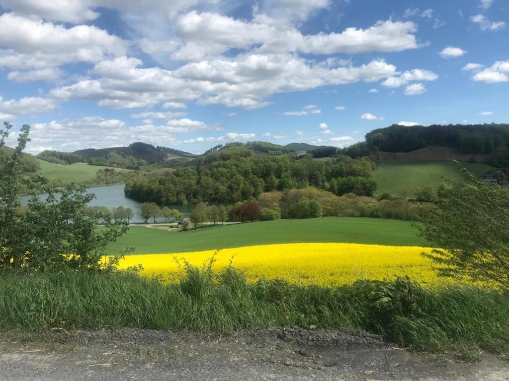 Haus Am Hennesee Мешеде Экстерьер фото